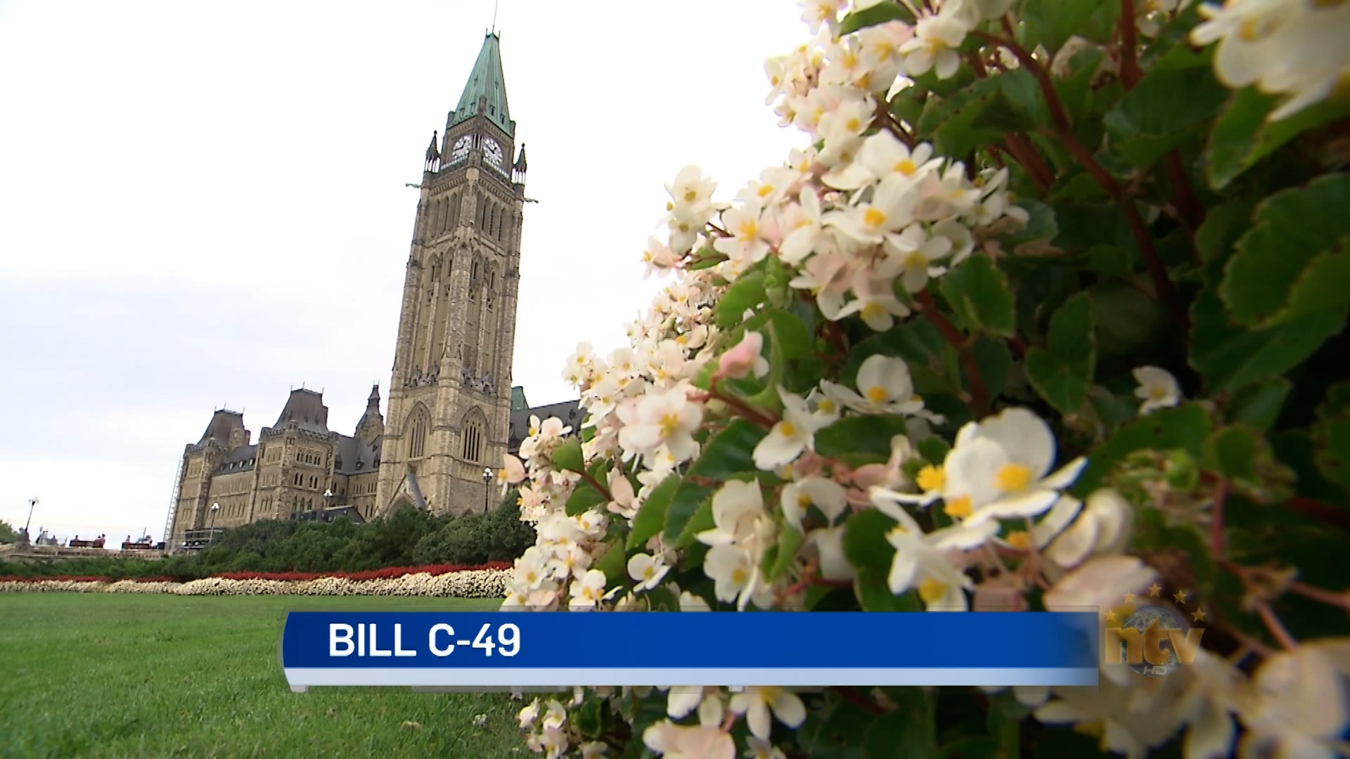 Atlantic Liberal Caucus Urges Conservative MPs To Break Rank On ...