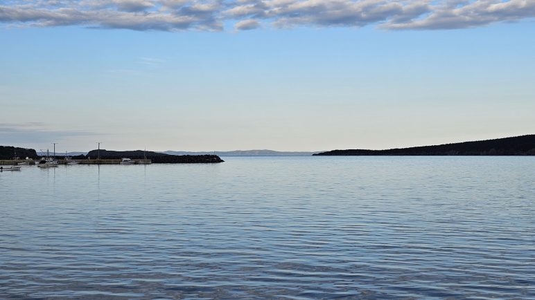 Carbonear on Wednesday evening. Kyle Brookings