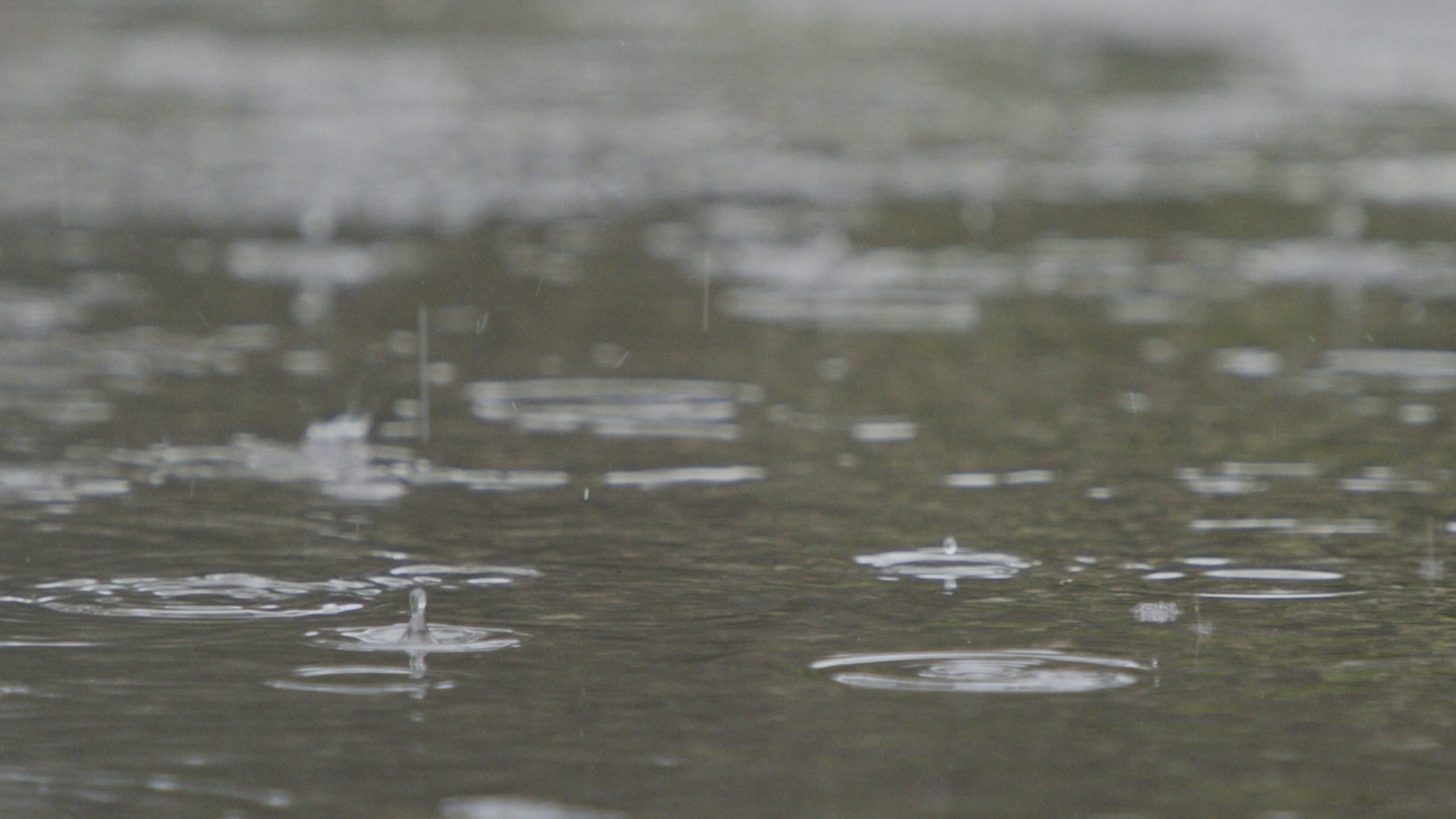 Cool temperatures moving in across much of the island - NTV ...