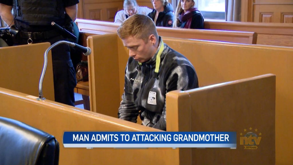 St. John's man pleads guilty to manslaughter for death of his ...