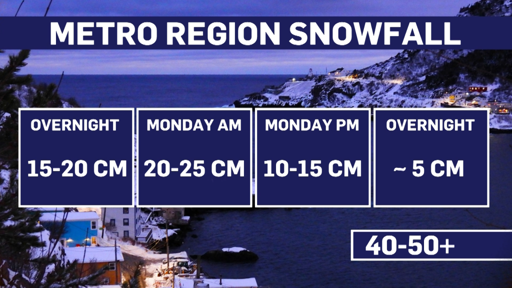 NTV Weather Checkpoint: Winter storm coming - NTV: Newfoundland and ...