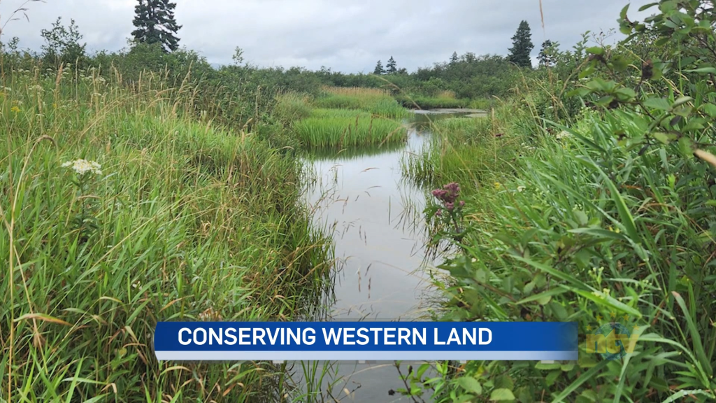 Nature Conservancy Charity of Canada works to protect vital land in ...