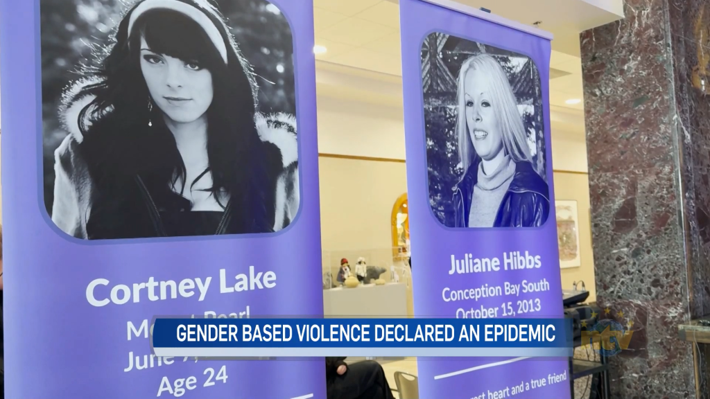 St. John's Status of Women Council supports declaration of gender-based violence as epidemic - NTV: Newfoundland and Labrador's Most Trusted News Source