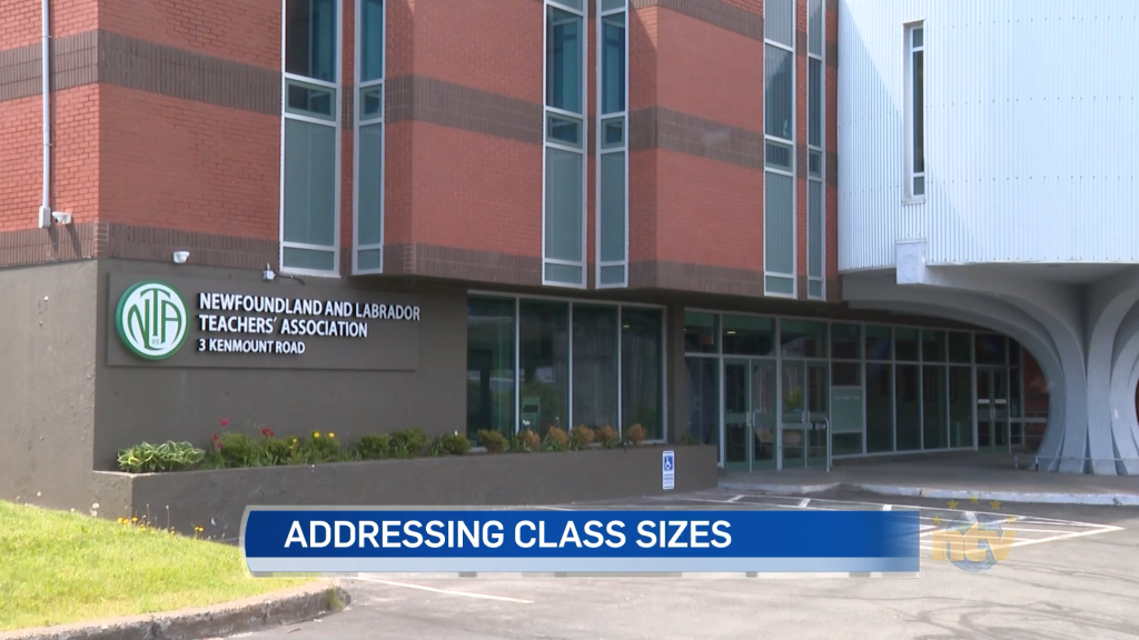 NLTA reflects on challenges over the last school year - NTV: Newfoundland and Labrador's Most Trusted News Source