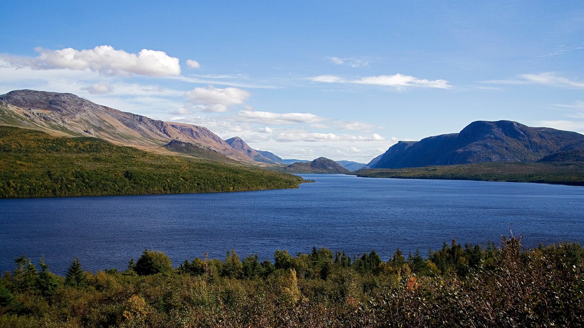 'Swimmer’s Itch' reported at Trout River Pond - NTV: Newfoundland and Labrador's Most Trusted News Source